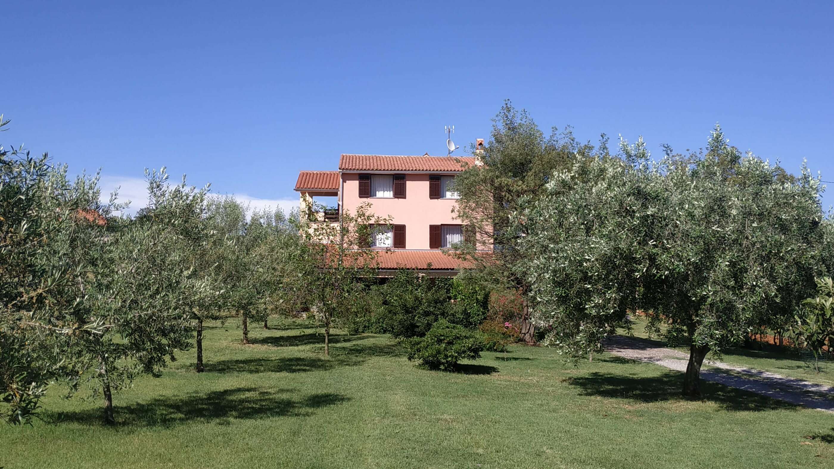Garden located in front of the apartment. Green trees, bushes and colorful flowers. A view onto the house which the apartment is situated in. Big green lawn, access part and spacious parking space.