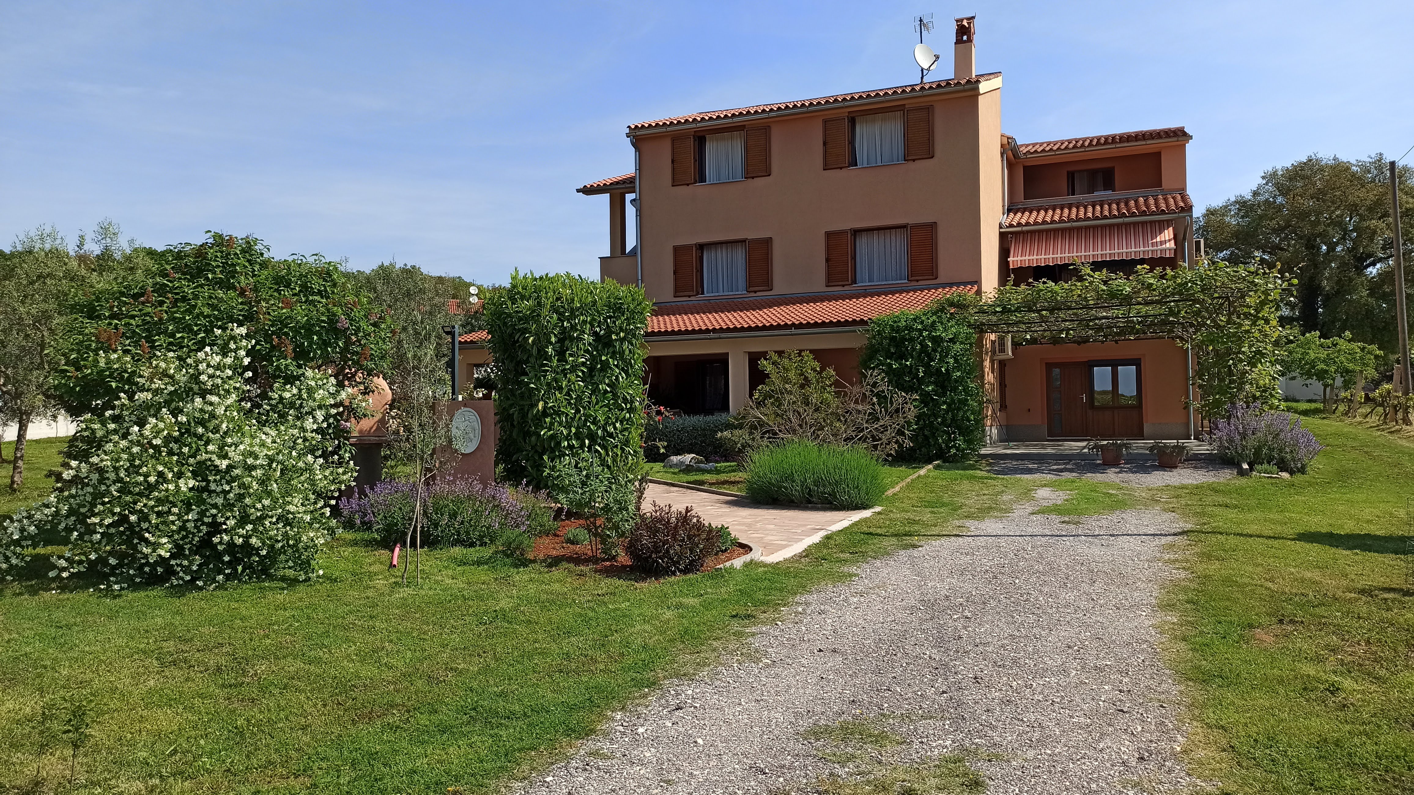 Beautiful colorful sunny garden, spacious parking space and a tiled access path. Colorful flowers filling the garden. A covered terrace and pergola in front of the apartment's entrance . Olive grove and nature in the background.